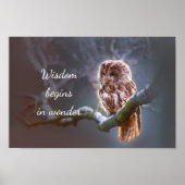 Poster La sagesse commence dans Wonder // Owl (Devant)