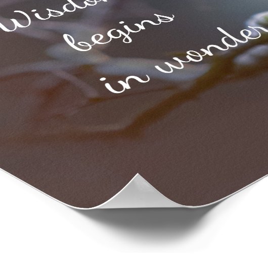 Poster La sagesse commence dans Wonder // Owl (Coin)