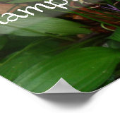 Poster La sagesse latine cite l'affiche de l'intelligence (Coin)