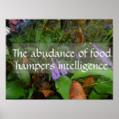 Poster La sagesse latine cite l'affiche de l'intelligence (Devant)