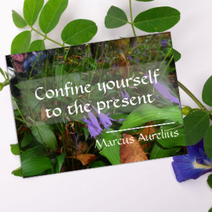 Poster La sagesse latine cite l'affiche verte