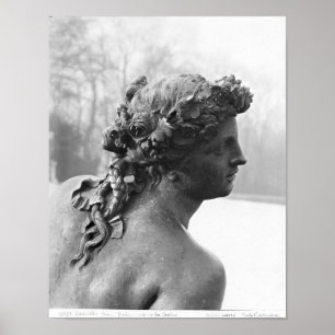 Poster La Saône du Parterre