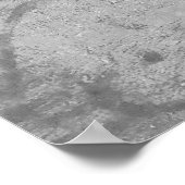 Poster La Scapigliata by Leonardo da Vinci (Coin)