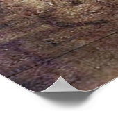 Poster La Scapigliata - da Vinci - c1508 (Coin)