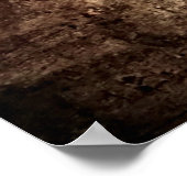 Poster La Scapigliata par Leonardo da Vinci (Coin)