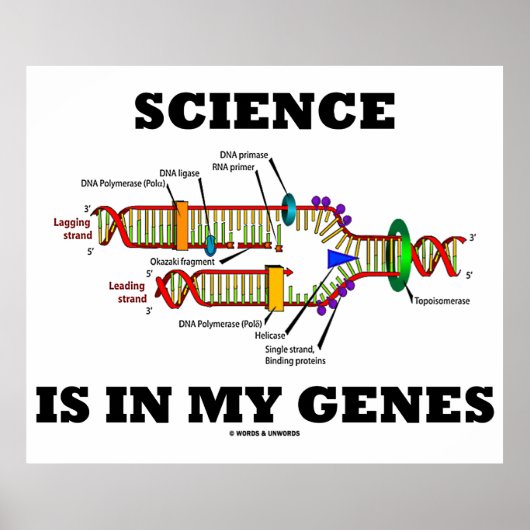 Poster La science est dans mes gènes (réplication de l'AD (Devant)