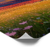 Poster La Sérénade d'or de la vallée (Coin)