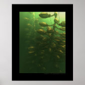 Poster La serre (Devant)