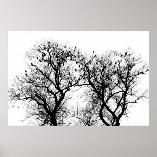 Poster La silhouette des oiseaux et des arbres. (Devant)