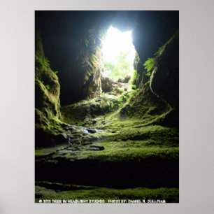 Poster La singe foudroie WA