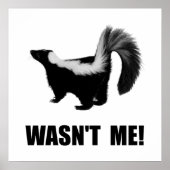 Poster La Skunk n'était pas moi (Devant)