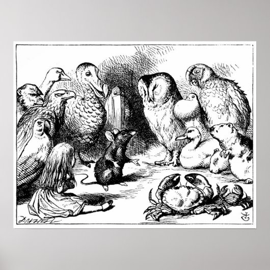 Poster La souris et l'histoire sèche (Devant)