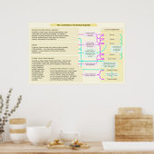 Poster La structure constitutionnelle de la République ro (Cuisine)
