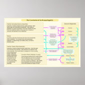 Poster La structure constitutionnelle de la République ro (Devant)