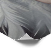 Poster La superbe princesse cygne (Coin)