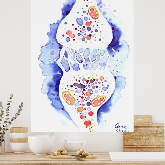 Poster La synapse et l'impulsion nerveuse (Cuisine)