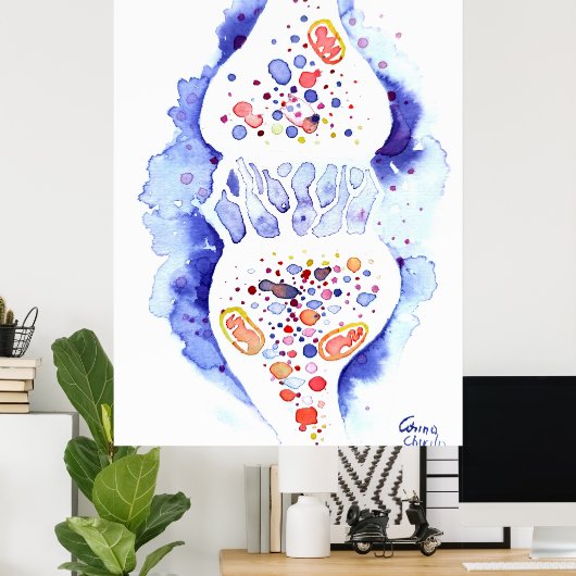 Poster La synapse et l'impulsion nerveuse (Bureau à domicile)