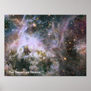 Poster La Tarantula Nebula - Cadre 4 Avec Titre