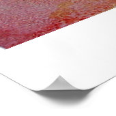 Poster La teigne de faucon de la tête de mort (Coin)