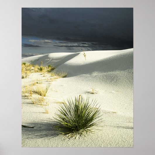 Poster La tempête qui approche (Devant)