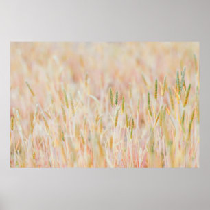 POSTER LA TERRE DE PÂTE A ÉTÉ TRANSFORMÉE EN PASTEL-COLOR