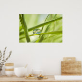 Poster La terre en une goutte (Cuisine)