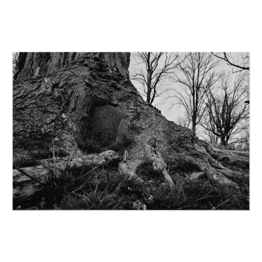 Poster la terre reprend (Devant)