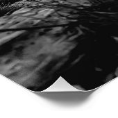 Poster la terre reprend (Coin)