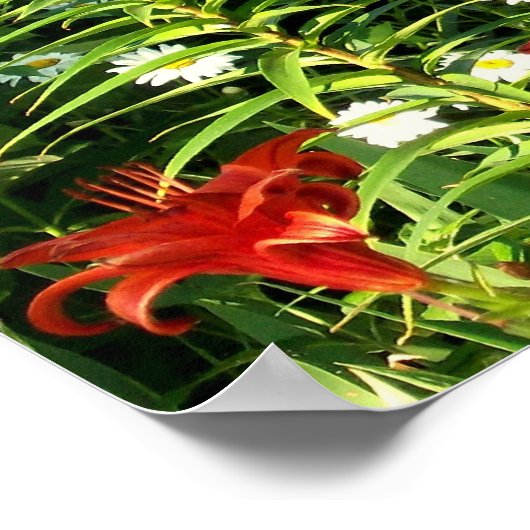 Poster La Terre rit (Coin)