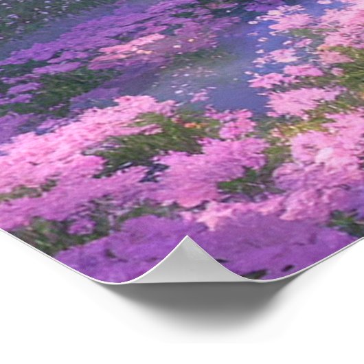 Poster La toile de la nature (Coin)