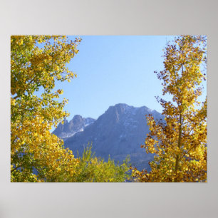 Poster La toile de la nature