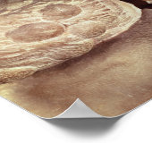 Poster La tombe de Giuliano de Medici (Coin)