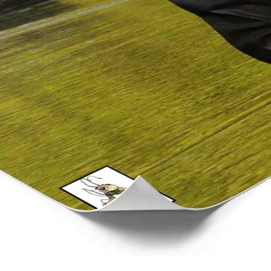 Poster La truite rouge ne résiste pas (Coin)