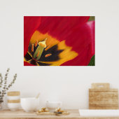Poster La tulipe rouge (Cuisine)