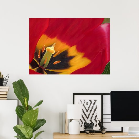 Poster La tulipe rouge (Bureau à domicile)