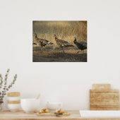 Poster La Turquie marche au coucher du soleil (Cuisine)