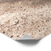 Poster La Turquie sauvage du Rio Grande (Coin)