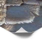 Poster La Turquie sauvage plumes II Design Abstrait de la (Coin)