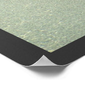 Poster La Turquie suit le poulet (Coin)