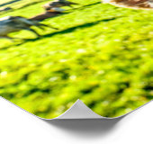 Poster La vache drôle va bien bientôt (Coin)