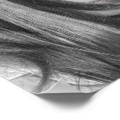 Poster La valeur d'une femme (Coin)