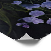 Poster La vallée de la Lavande à l'aube (Coin)