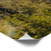 Poster La vallée de la Sierra (Coin)