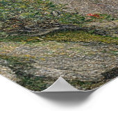 POSTER LA VANITÉ (Coin)