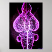 Poster La vascularisation du système nerveux en roden (Devant)