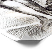 Poster La Vénus de Borghèse, c.1653 (Coin)