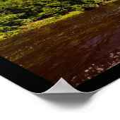 Poster La verdure du Wisconsin (Coin)