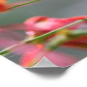 Poster La Vérité vous libèrera Poster, Version C (Coin)