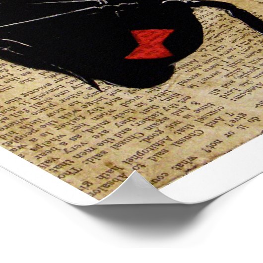 Poster La veuve (Coin)