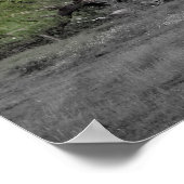 Poster La vie après une catastrophe (Coin)